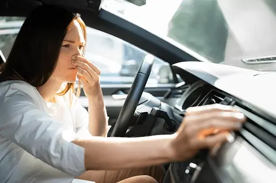 Car odor removal